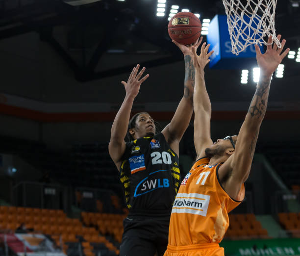 率均有所提 率均有所提